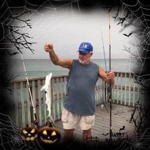 Meet your Posher, Paul